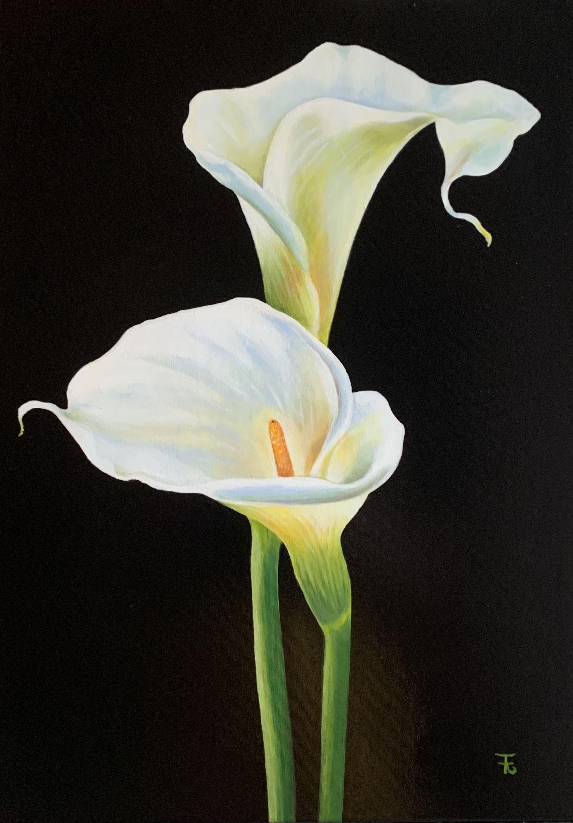 Le calla
