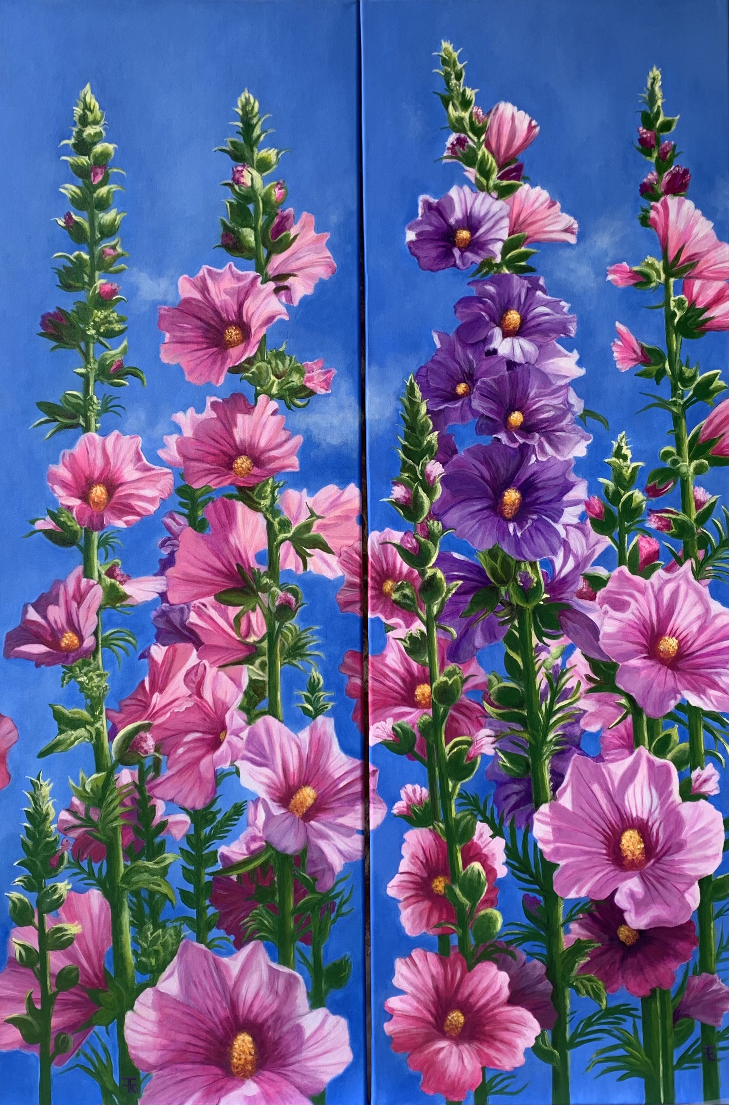 Les roses trémières