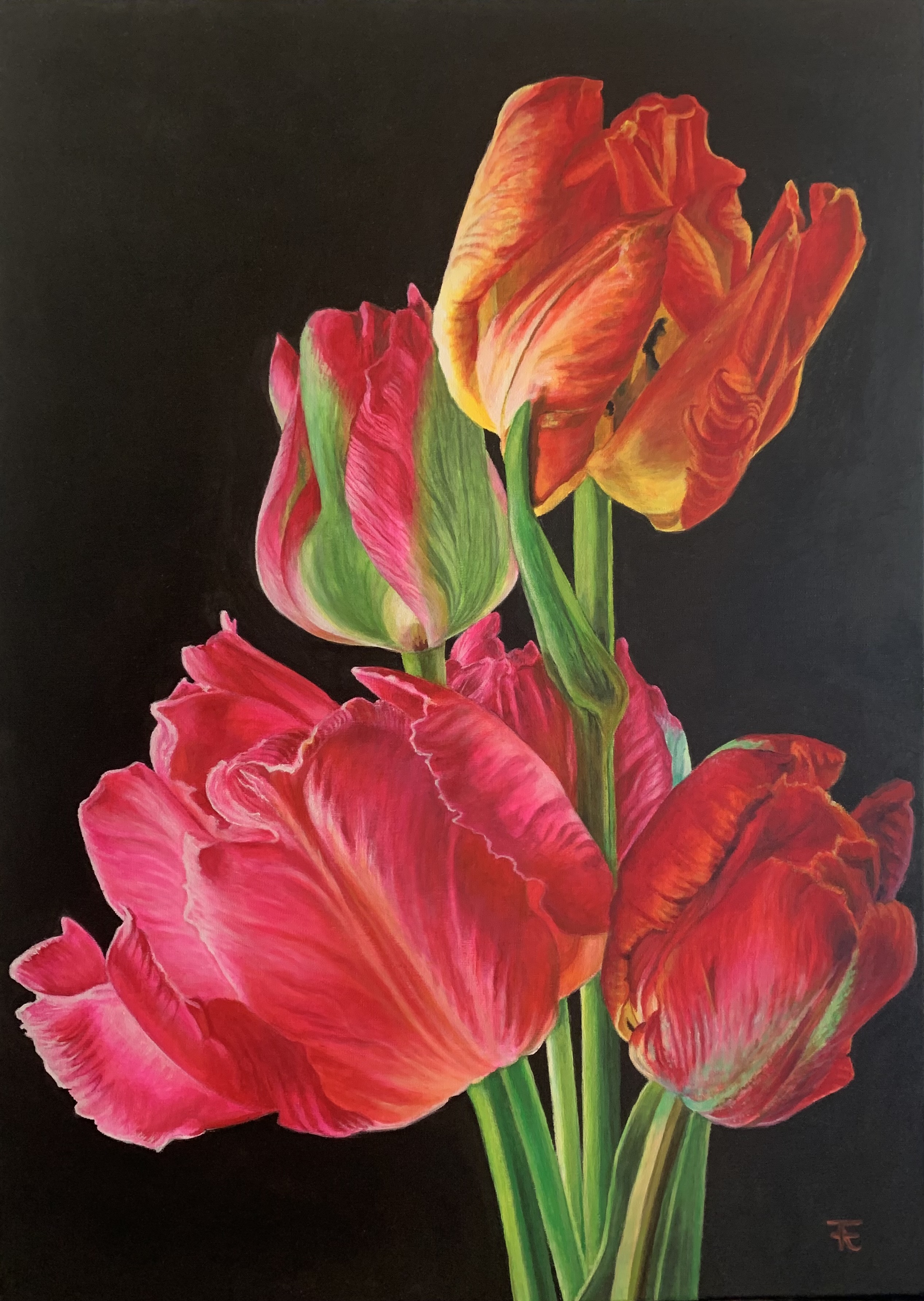 Les tulipes